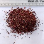 Hibiscus Flower (Dried) - Hibiscus sabdariffa - Gudhal Phool, Roselle Tea Flower Cut Size / T-Cut / TBC